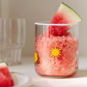 Anthropologie Icon Juice Glass - clear Sun